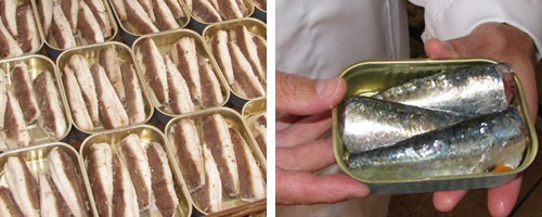 (Photos by Dustan Hoffman / Crown Prince)