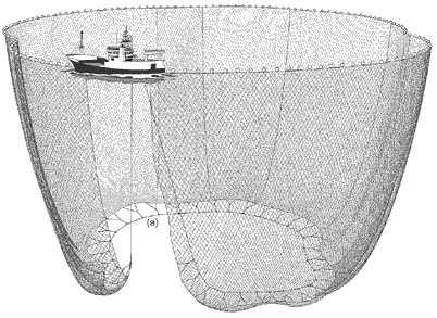 Purse Seine Net